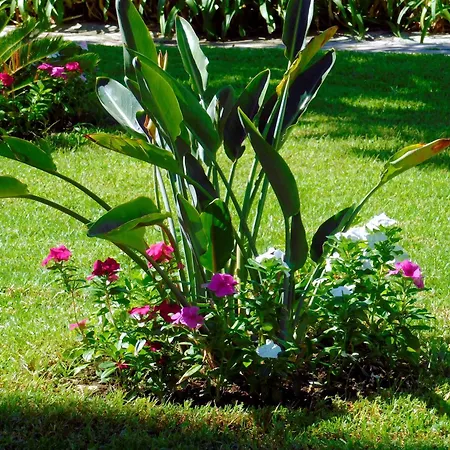 Oino 公寓 Corfu (city)